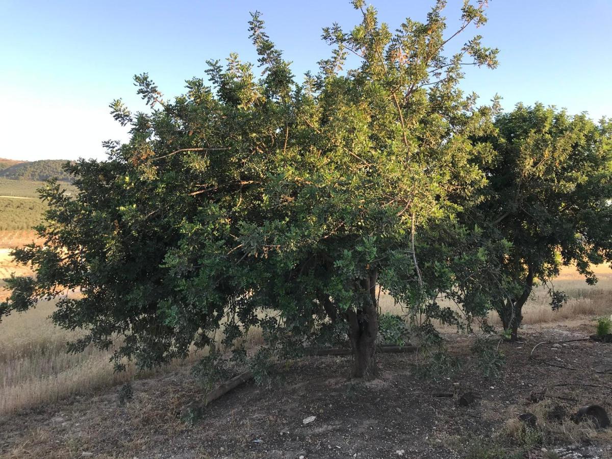 Cortijo Vista Alegre Villa Fuente de Piedra Eksteriør bilde
